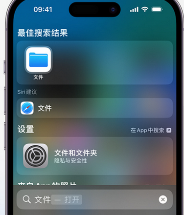 太和apple维修中心分享iPhone文件应用中存储和找到下载文件