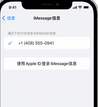 太和apple维修iPhone上无法正常发送iMessage信息 