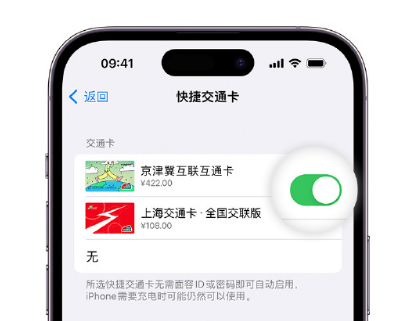 太和apple维修点分享iPhone上更换Apple Pay快捷交通卡手绘卡面 