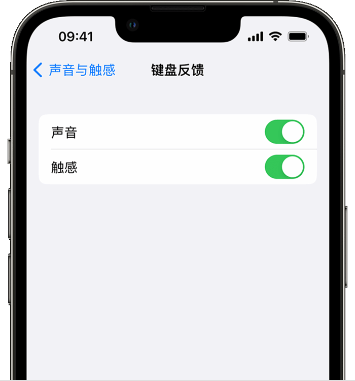 太和苹果14维修店分享如何在 iPhone 14 机型中使用触感键盘 