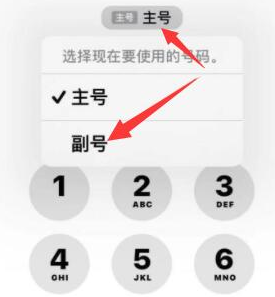 太和苹果14维修店分享iPhone 14 Pro Max使用副卡打电话的方法 