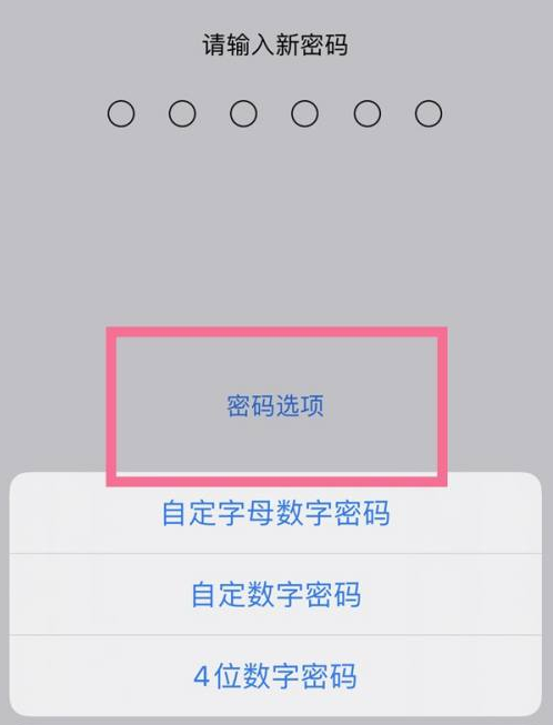 太和苹果14维修分享iPhone 14plus设置密码的方法 