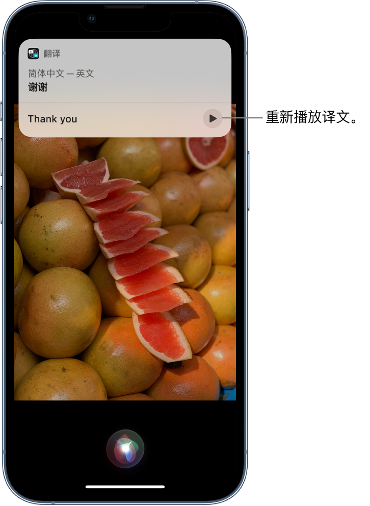 太和苹果14维修分享 iPhone 14 机型中使用 Siri：了解 Siri 能帮你做什么 