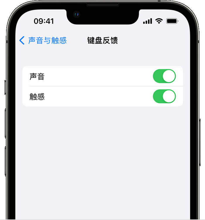 太和苹果14维修分享iPhone 14 系列机型如何开启键盘声音或触感反馈 