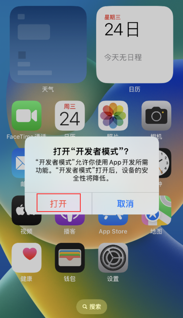 太和苹果手机维修分享如何打开开发者模式 