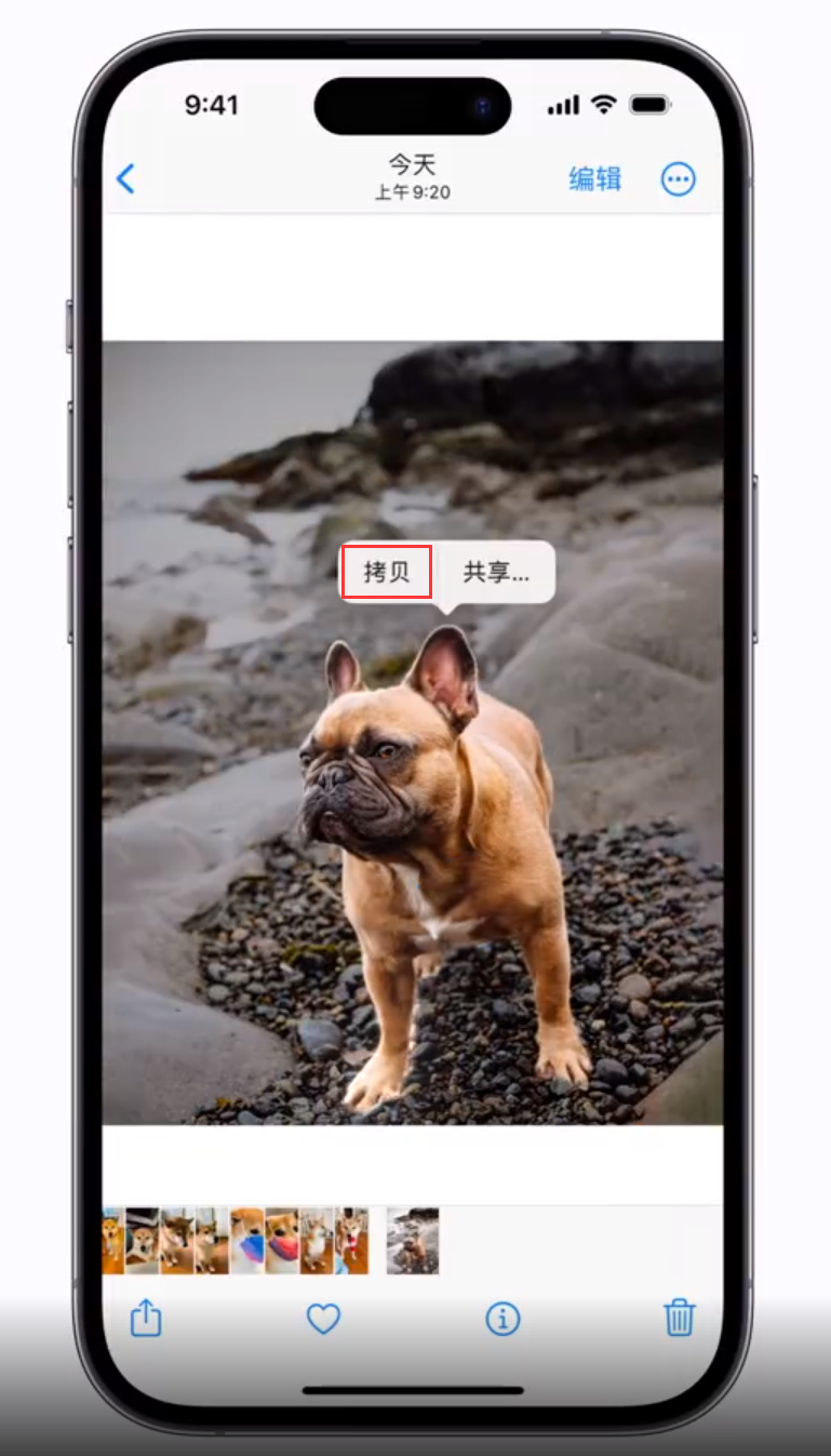 太和苹果手机维修分享 iOS 16 自带一键抠图功能 