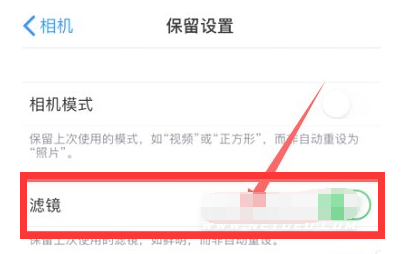 太和苹果13维修分享iPhone13拍照有绿点是怎么回事 