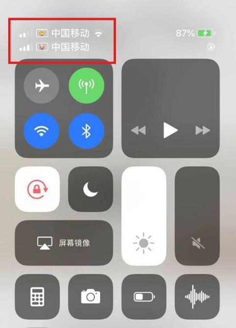 太和苹果手机维修分享为 iPhone 12 双卡设置标签 