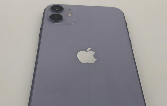 太和苹果11系统维修分享iPhone11手机系统崩溃无法开机如何解决